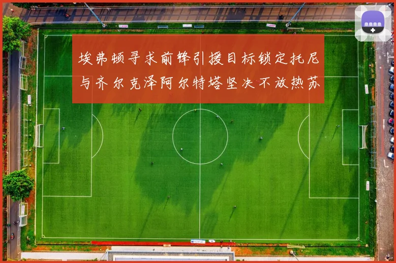 埃弗顿寻求前锋引援目标锁定托尼与齐尔克泽阿尔特塔坚决不放热苏斯