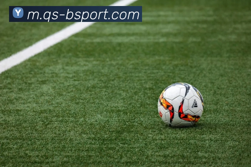 B体育平台生态图